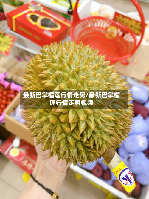 最新巴掌榴莲行情走势/最新巴掌榴莲行情走势视频-第2张图片