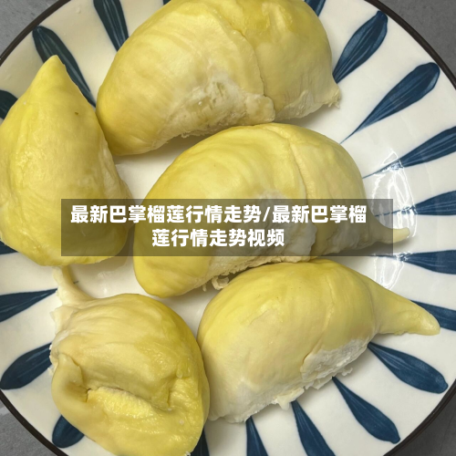 最新巴掌榴莲行情走势/最新巴掌榴莲行情走势视频