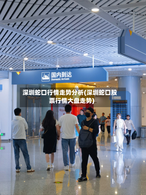 深圳蛇口行情走势分析(深圳蛇口股票行情大盘走势)-第2张图片
