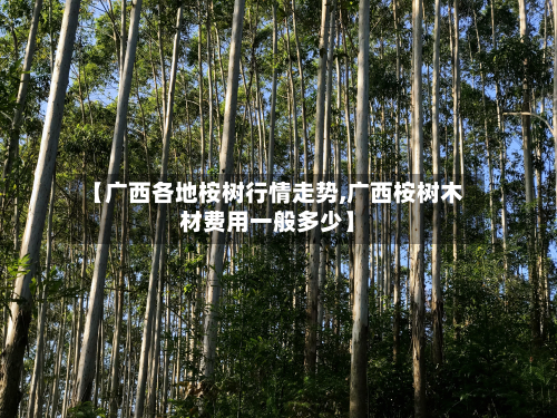 【广西各地桉树行情走势,广西桉树木材费用一般多少】
