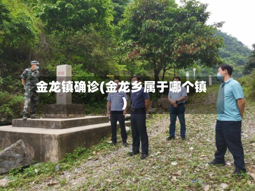 金龙镇确诊(金龙乡属于哪个镇)-第2张图片