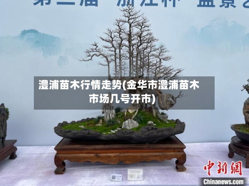 澧浦苗木行情走势(金华市澧浦苗木市场几号开市)-第2张图片