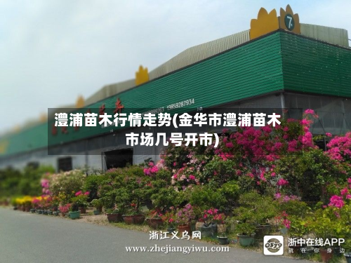 澧浦苗木行情走势(金华市澧浦苗木市场几号开市)