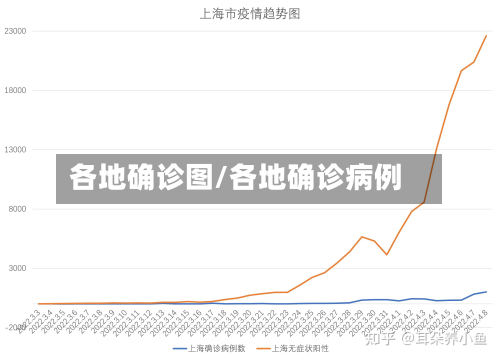 各地确诊图/各地确诊病例