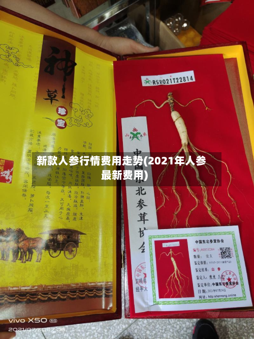 新款人参行情费用走势(2021年人参最新费用)