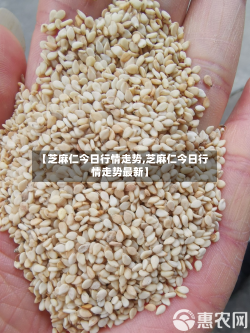 【芝麻仁今日行情走势,芝麻仁今日行情走势最新】