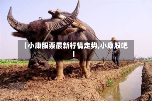 【小康股票最新行情走势,小康股吧】