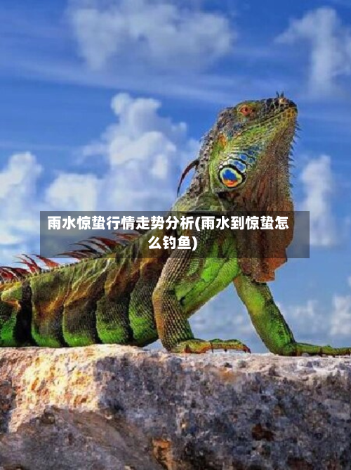 雨水惊蛰行情走势分析(雨水到惊蛰怎么钓鱼)-第2张图片