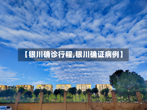 【银川确诊行程,银川确证病例】-第3张图片