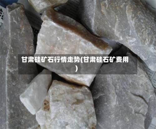 甘肃硅矿石行情走势(甘肃硅石矿费用)