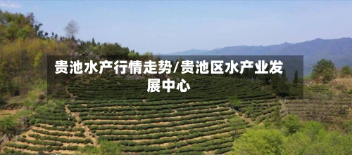 贵池水产行情走势/贵池区水产业发展中心