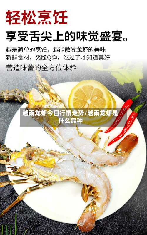 越南龙虾今日行情走势/越南龙虾是什么品种-第3张图片