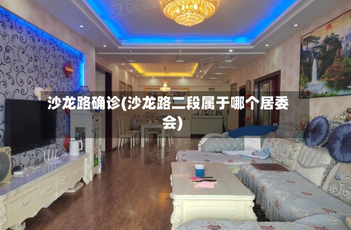 沙龙路确诊(沙龙路二段属于哪个居委会)