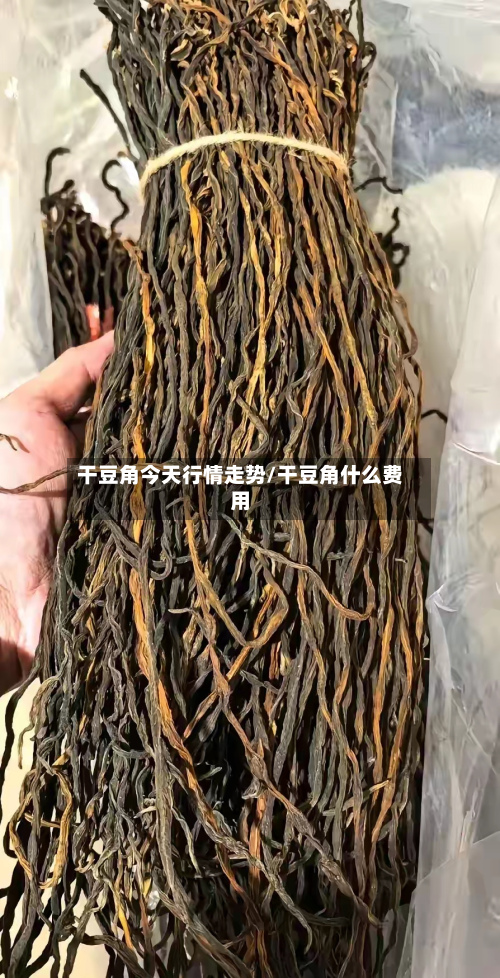 干豆角今天行情走势/干豆角什么费用