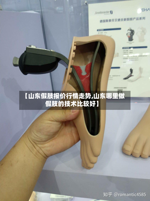 【山东假肢报价行情走势,山东哪里做假肢的技术比较好】