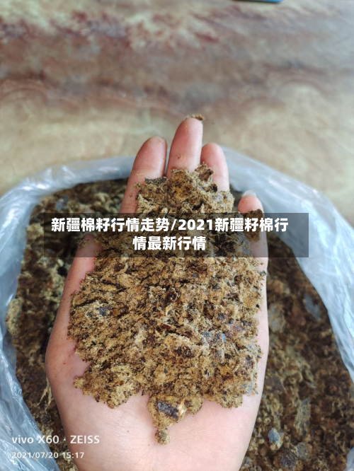 新疆棉籽行情走势/2021新疆籽棉行情最新行情