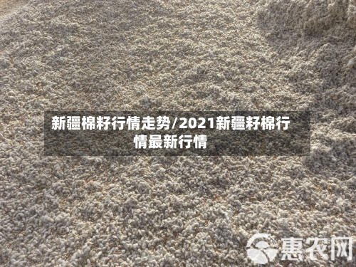 新疆棉籽行情走势/2021新疆籽棉行情最新行情-第3张图片