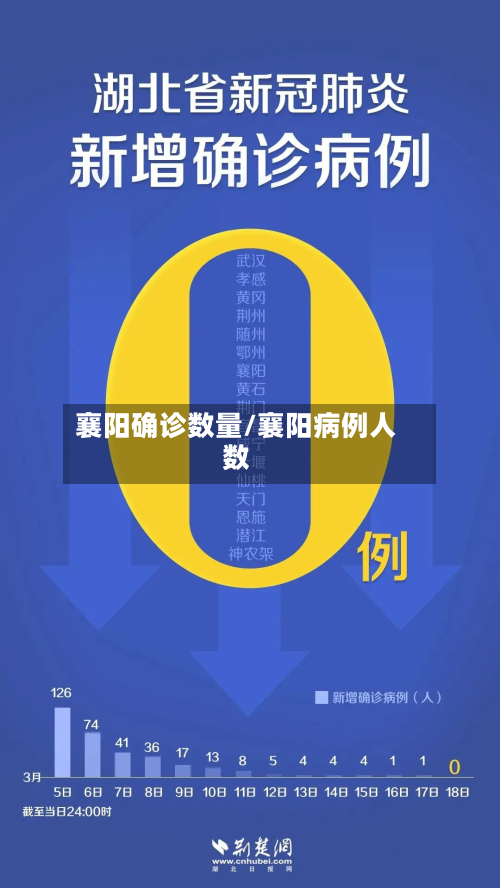 襄阳确诊数量/襄阳病例人数