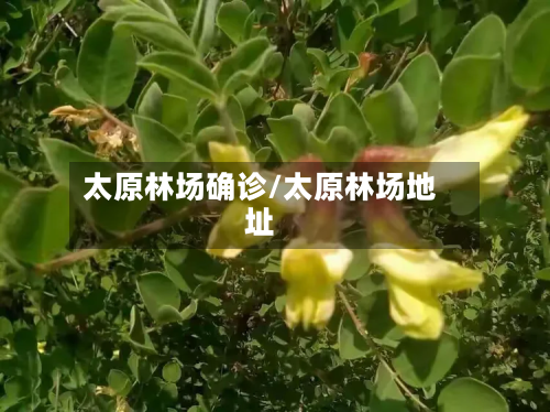 太原林场确诊/太原林场地址-第2张图片