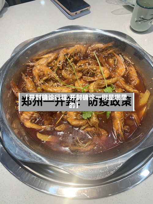 【开封确诊行程,开封确诊一例是哪里的】