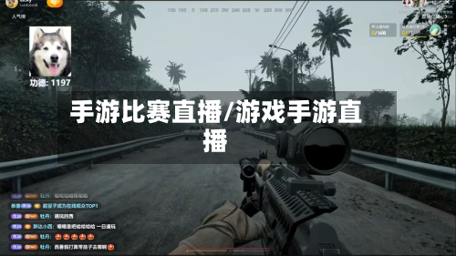 手游比赛直播/游戏手游直播