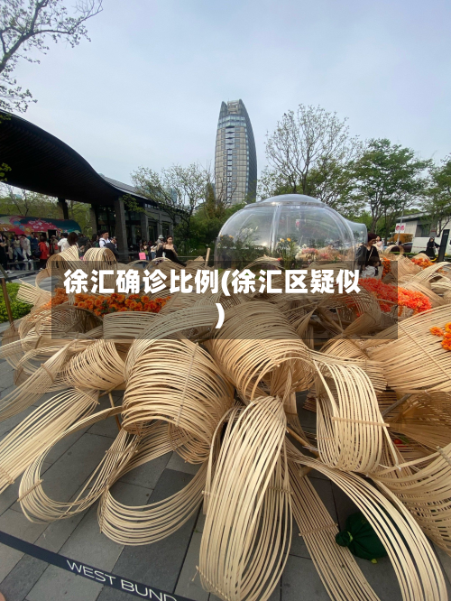 徐汇确诊比例(徐汇区疑似)