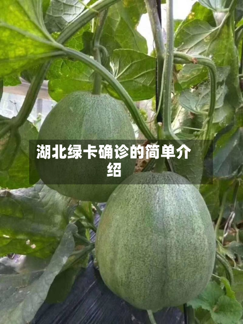 湖北绿卡确诊的简单介绍