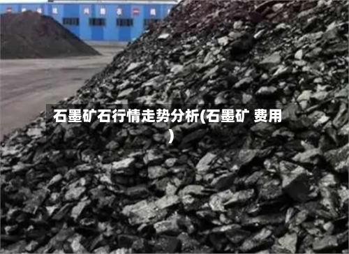 石墨矿石行情走势分析(石墨矿 费用)-第2张图片