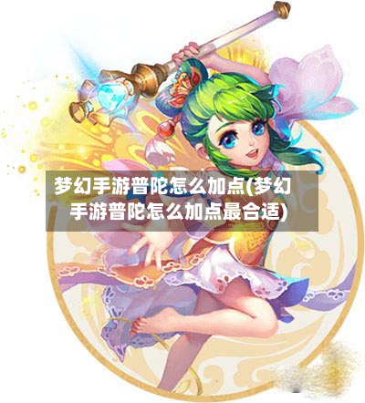 梦幻手游普陀怎么加点(梦幻手游普陀怎么加点最合适)