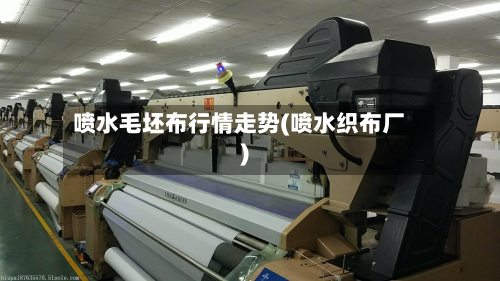 喷水毛坯布行情走势(喷水织布厂)-第3张图片