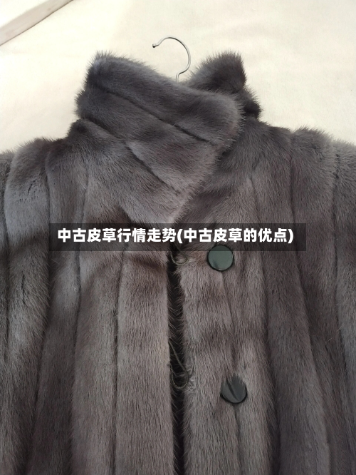 中古皮草行情走势(中古皮草的优点)