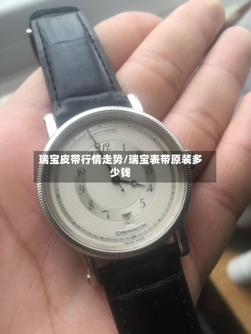 瑞宝皮带行情走势/瑞宝表带原装多少钱