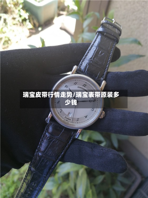 瑞宝皮带行情走势/瑞宝表带原装多少钱-第2张图片