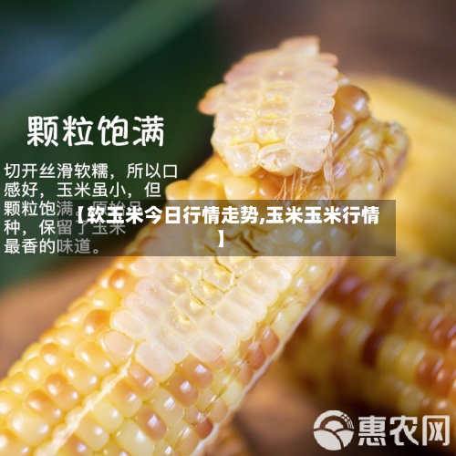 【软玉米今日行情走势,玉米玉米行情】