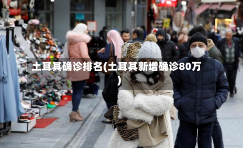 土耳其确诊排名(土耳其新增确诊80万)-第3张图片