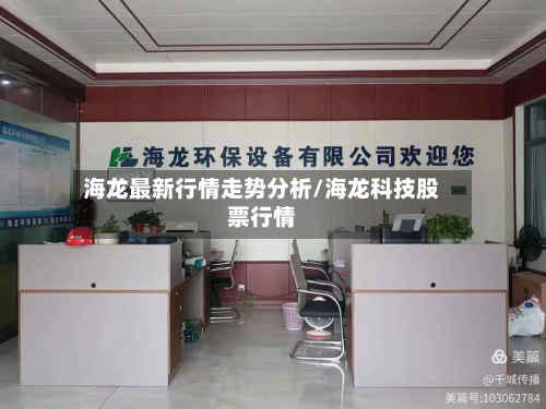 海龙最新行情走势分析/海龙科技股票行情-第3张图片