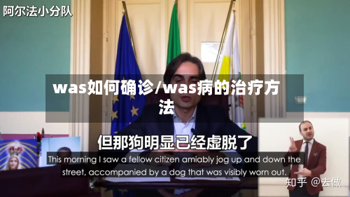 was如何确诊/was病的治疗方法