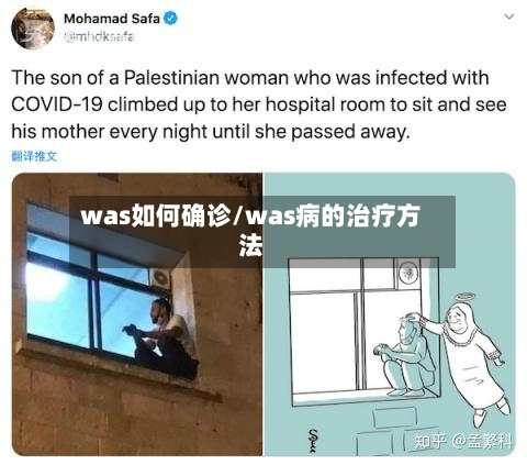 was如何确诊/was病的治疗方法-第2张图片