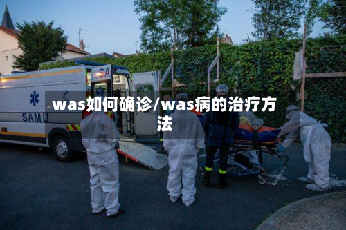 was如何确诊/was病的治疗方法-第3张图片