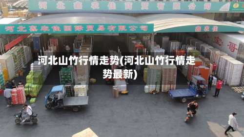 河北山竹行情走势(河北山竹行情走势最新)