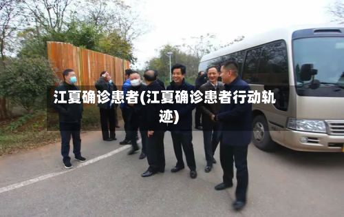 江夏确诊患者(江夏确诊患者行动轨迹)-第2张图片