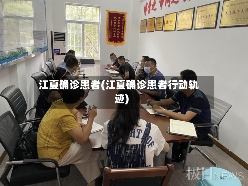 江夏确诊患者(江夏确诊患者行动轨迹)