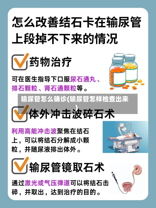 输尿管怎么确诊(输尿管怎样检查出来)-第2张图片