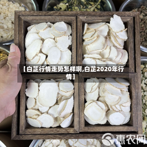 【白芷行情走势怎样啊,白芷2020年行情】