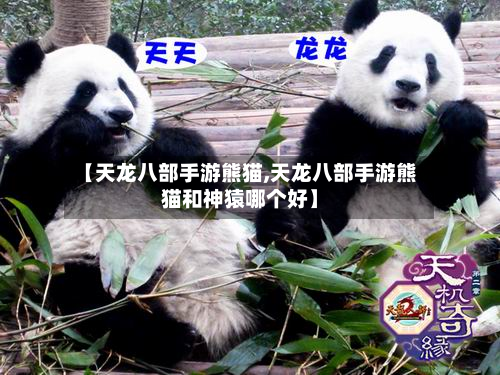 【天龙八部手游熊猫,天龙八部手游熊猫和神猿哪个好】