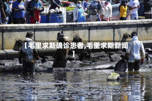 【毛里求斯确诊患者,毛里求斯新闻】-第3张图片