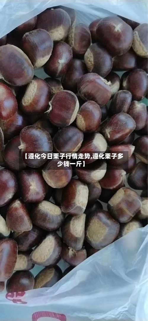 【遵化今日栗子行情走势,遵化栗子多少钱一斤】