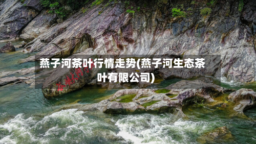 燕子河茶叶行情走势(燕子河生态茶叶有限公司)