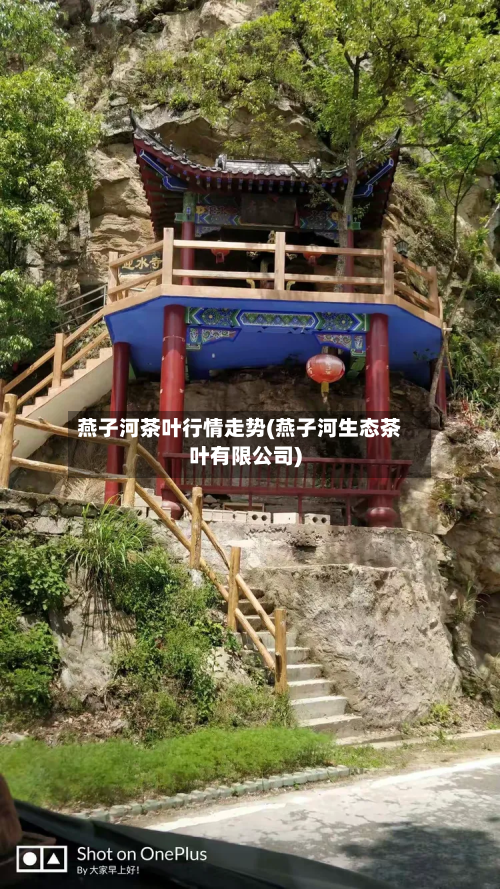 燕子河茶叶行情走势(燕子河生态茶叶有限公司)-第2张图片