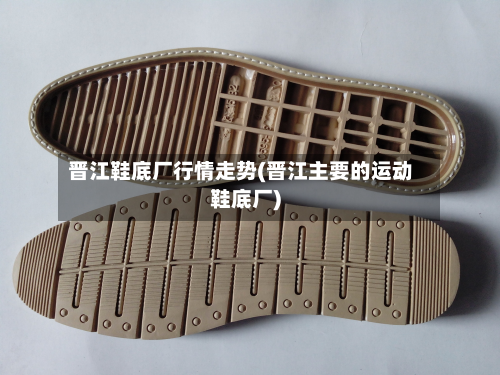 晋江鞋底厂行情走势(晋江主要的运动鞋底厂)-第2张图片
